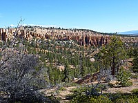 bryce canyon (12).JPG